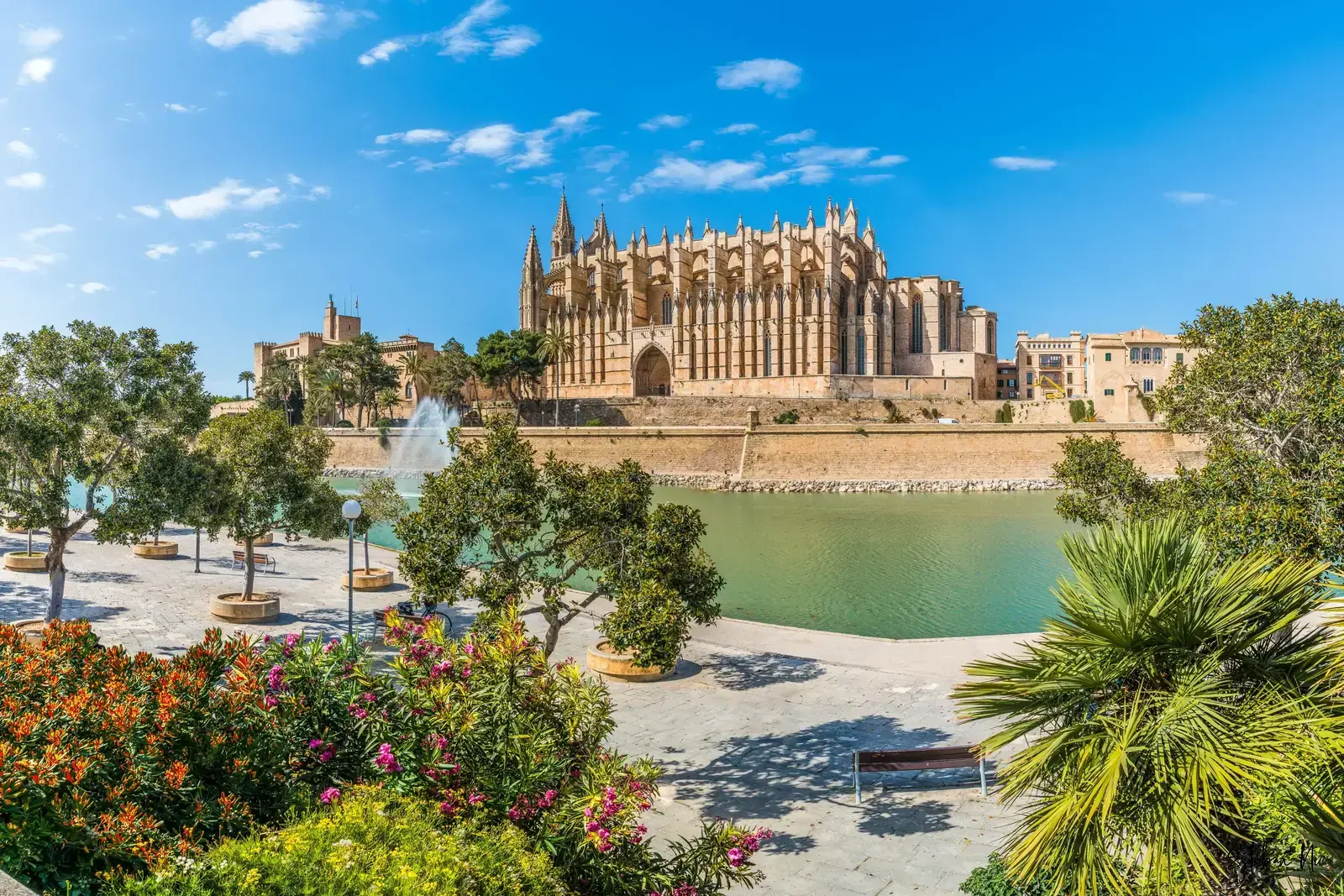 Enthüllung des luxuriösen Sheraton Mallorca Arabella Golf Hotels: Ein Paradies für Golfer und Familien