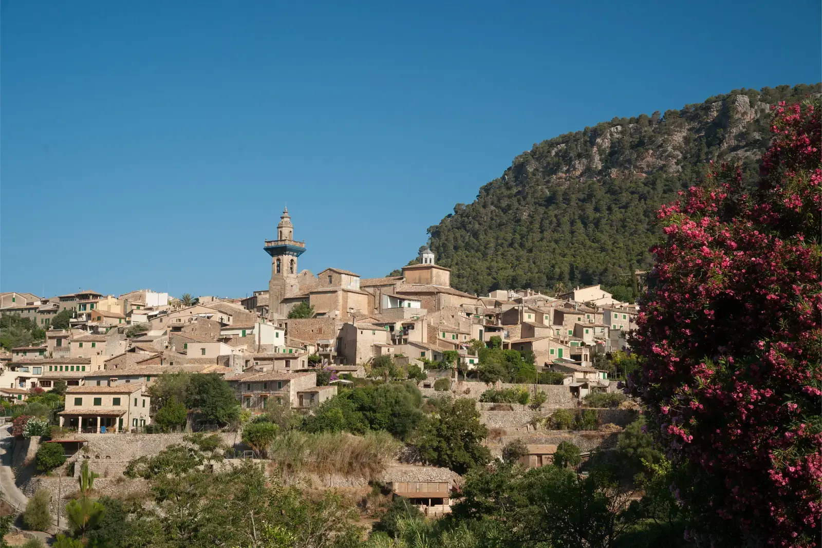 Entdecken Sie acht unvergessliche kulinarische Erlebnisse in Valldemossa