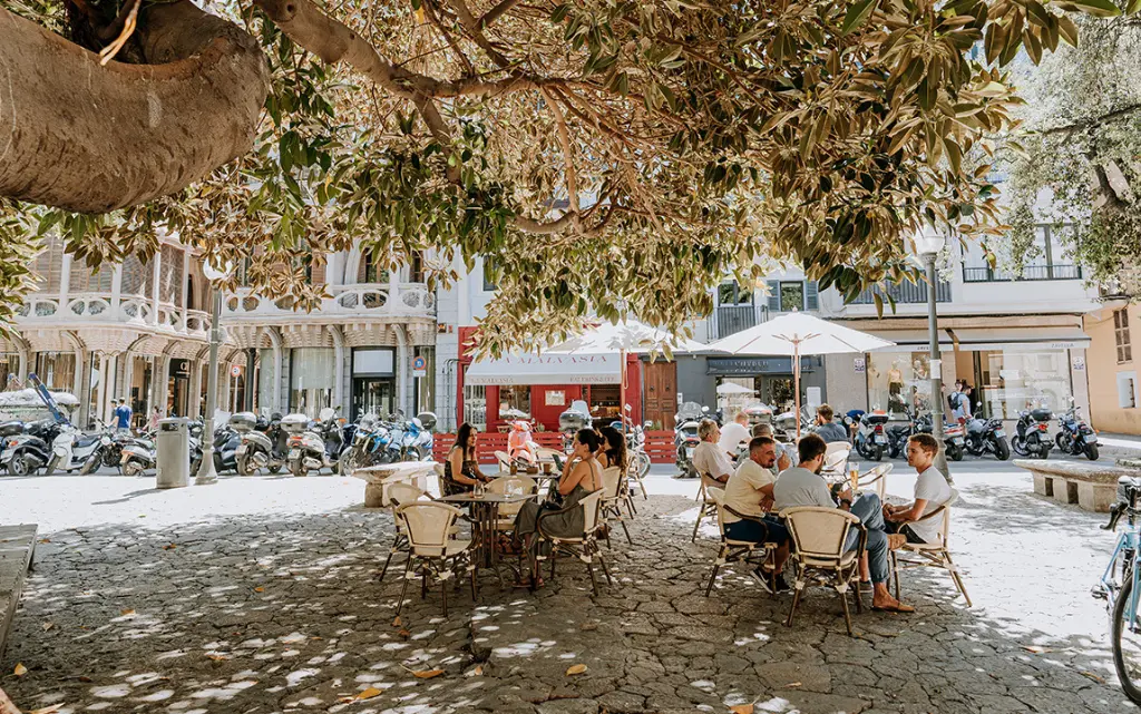 Die besten Stadtviertel in Palma