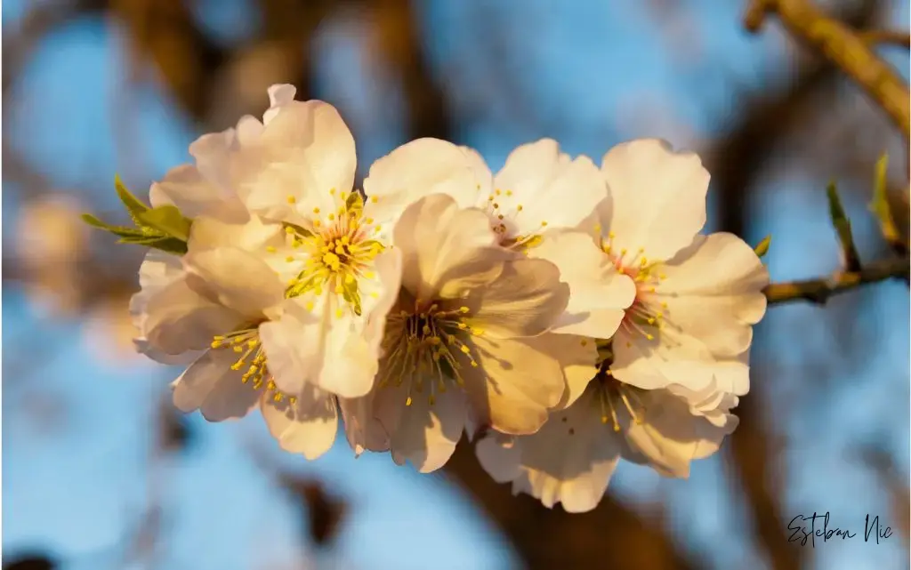 Die Jahreszeiten der Inka: Sommer und Winter