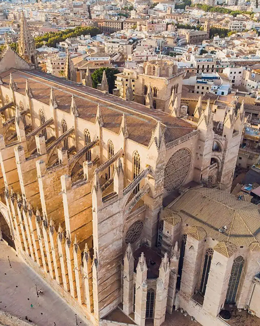 Wohnen in Palma
