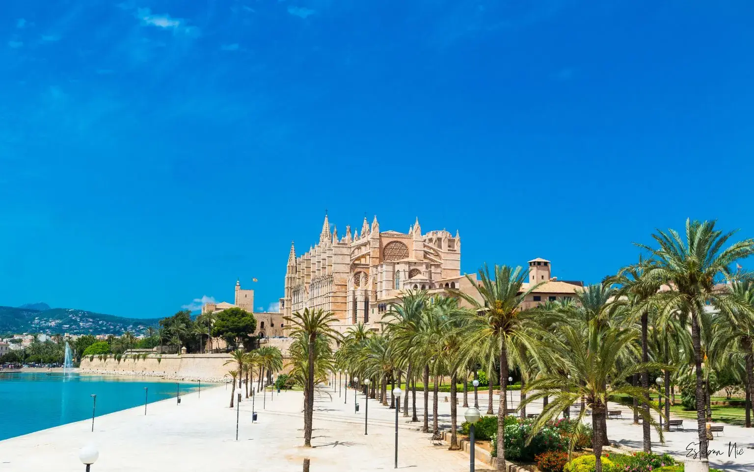 Entdecken Sie die 10 empfehlenswerten Restaurants in Port de Pollenca