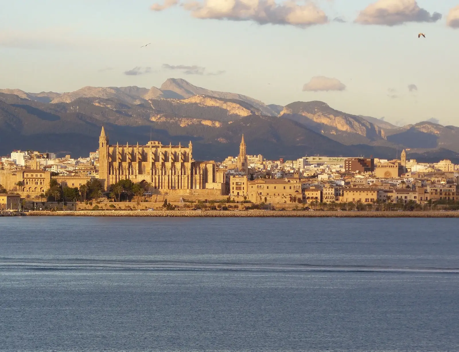 Palmas Top 10: Essen mit Aussicht in diesen Restaurants direkt am Meer