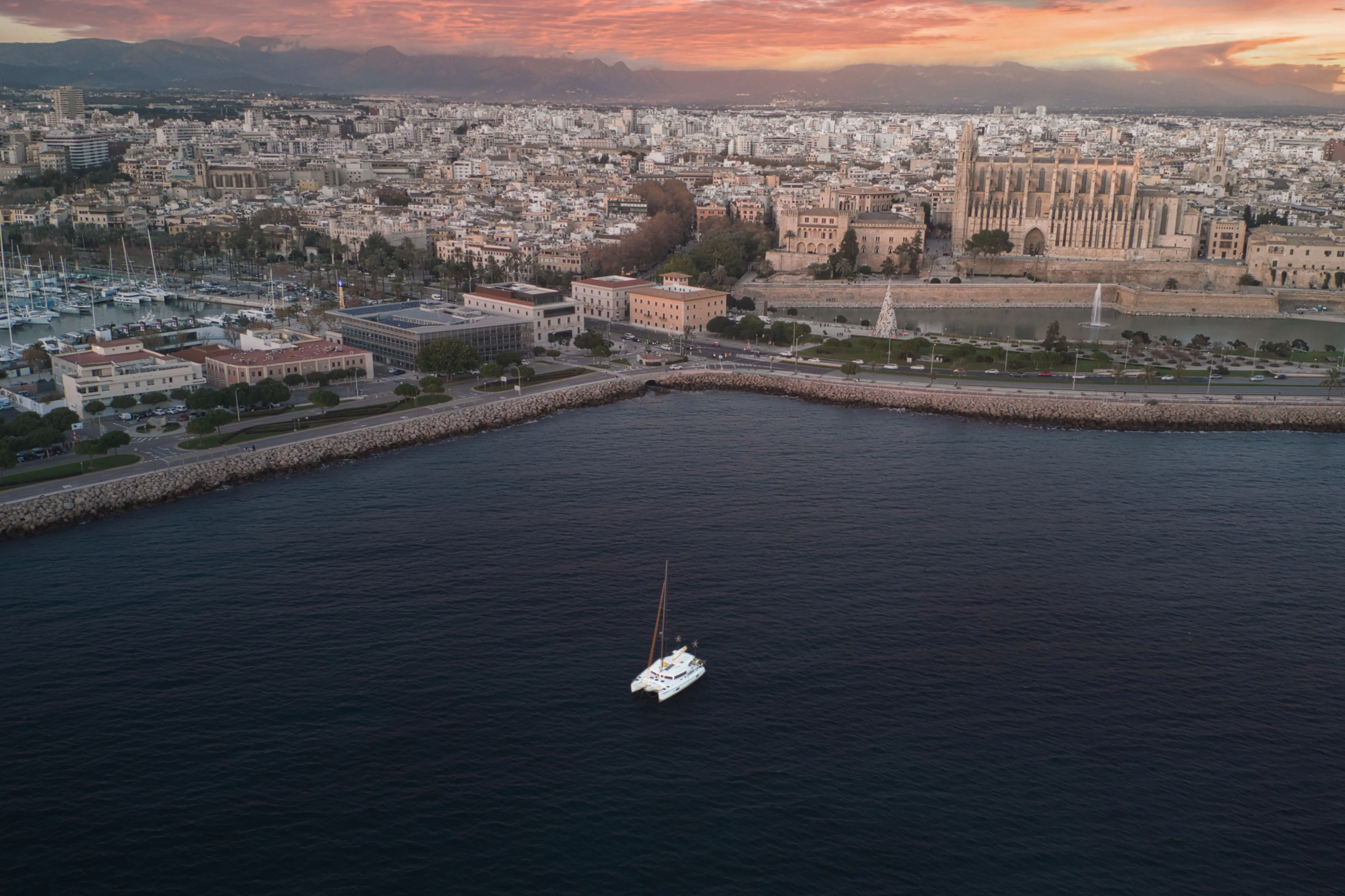 El Camino: Ein Hauch von mediterranem Zauber in Palma