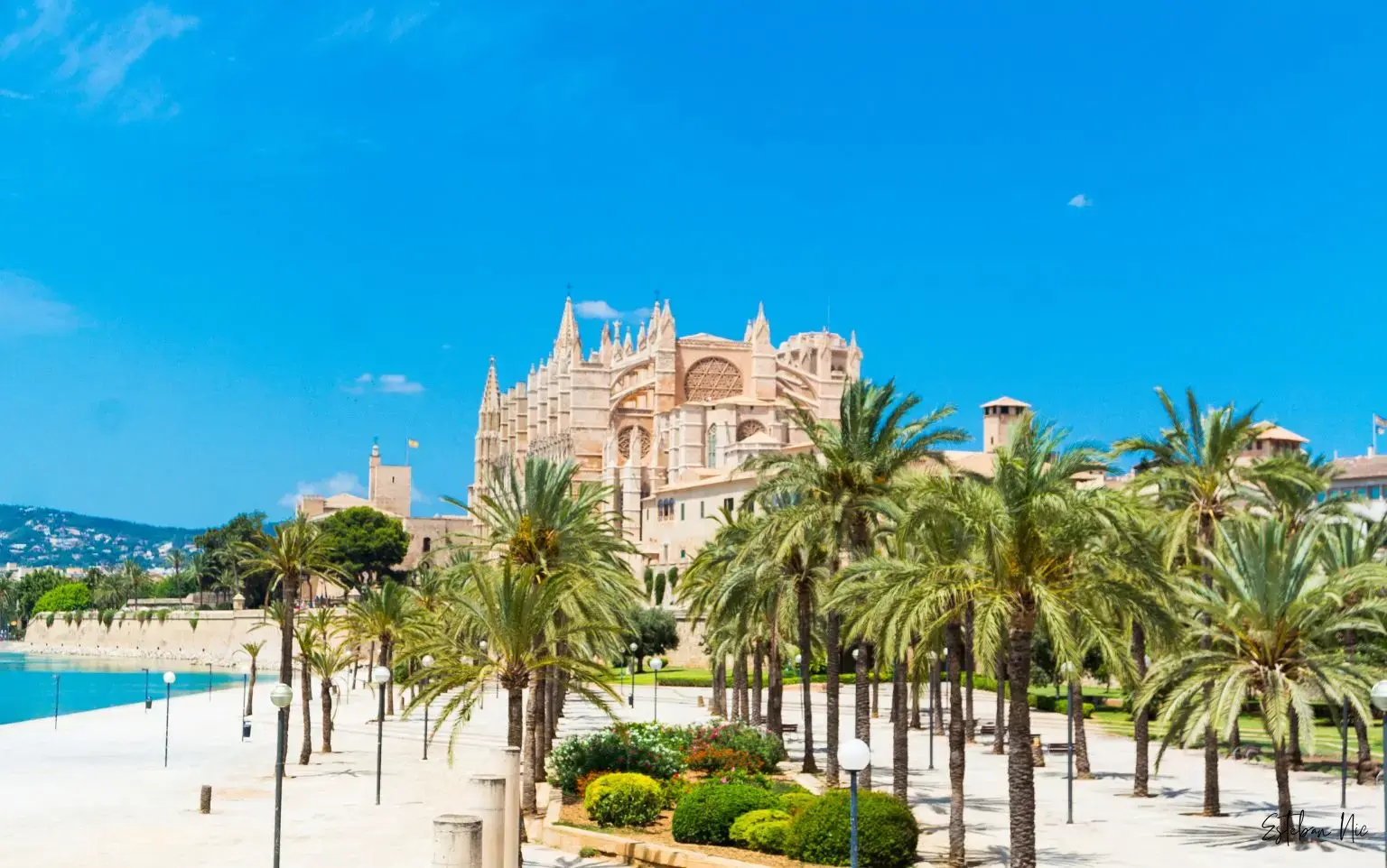 NENI Mallorca Restaurant: Köstliche Aromen mit atemberaubender Aussicht