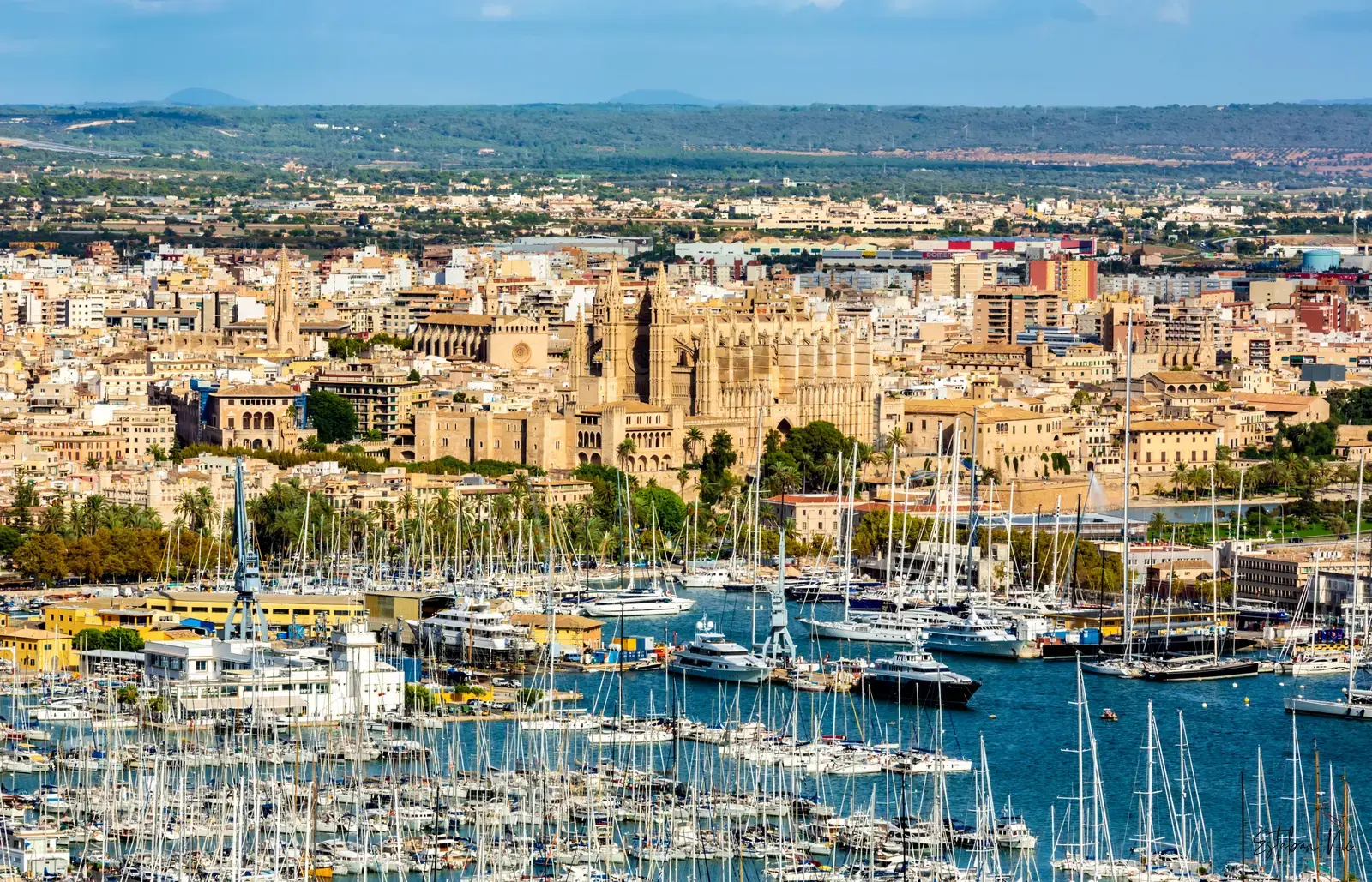 Palma de Mallorca: Die Reize der mediterranen Perle entdecken