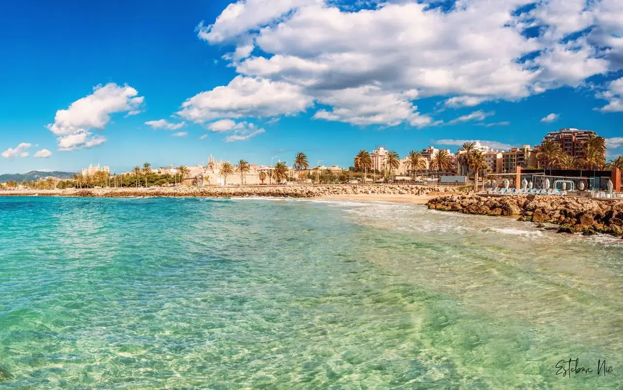 Bäcker-Odyssee: Von Wien nach Palma