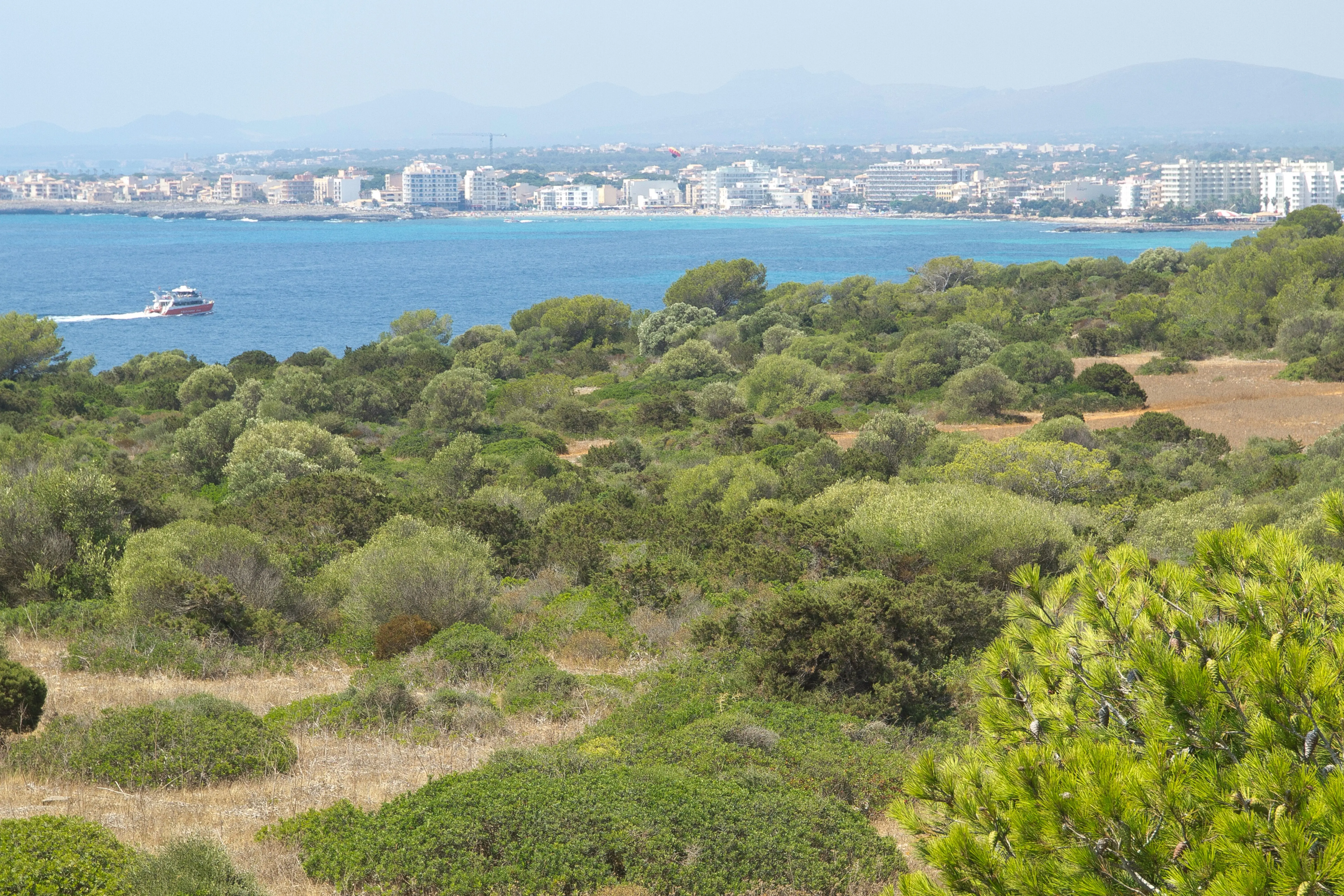 Entdecken Sie Sa Coma: Ein familienfreundliches Strandresort auf Mallorca