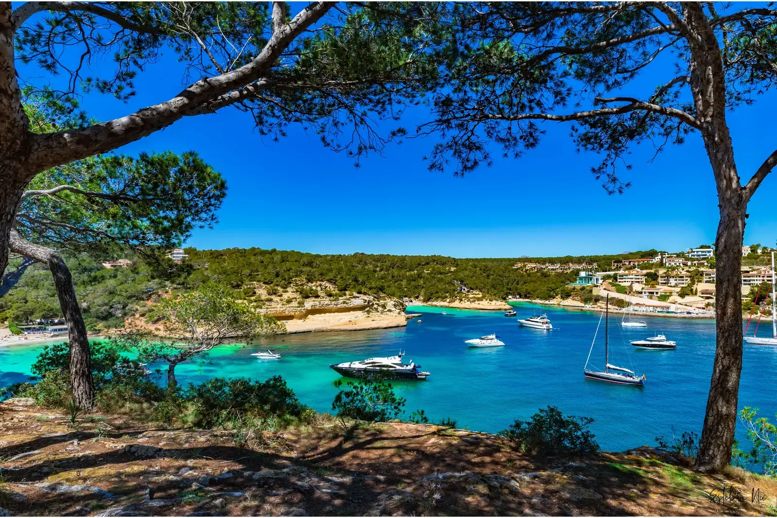 Enthüllung des verborgenen Juwels: Portals Vells