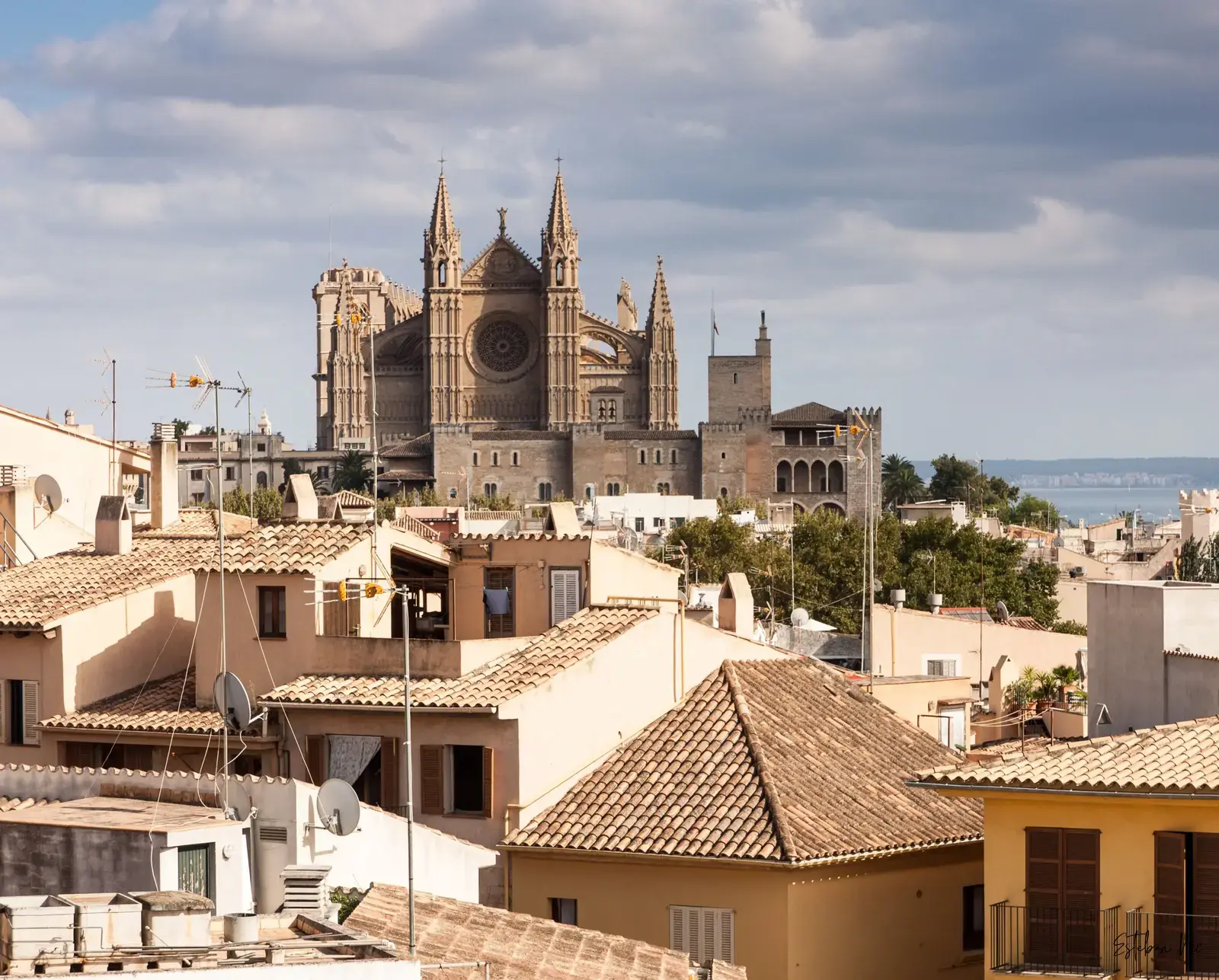 Die neuesten kulinarischen Hotspots auf Mallorca