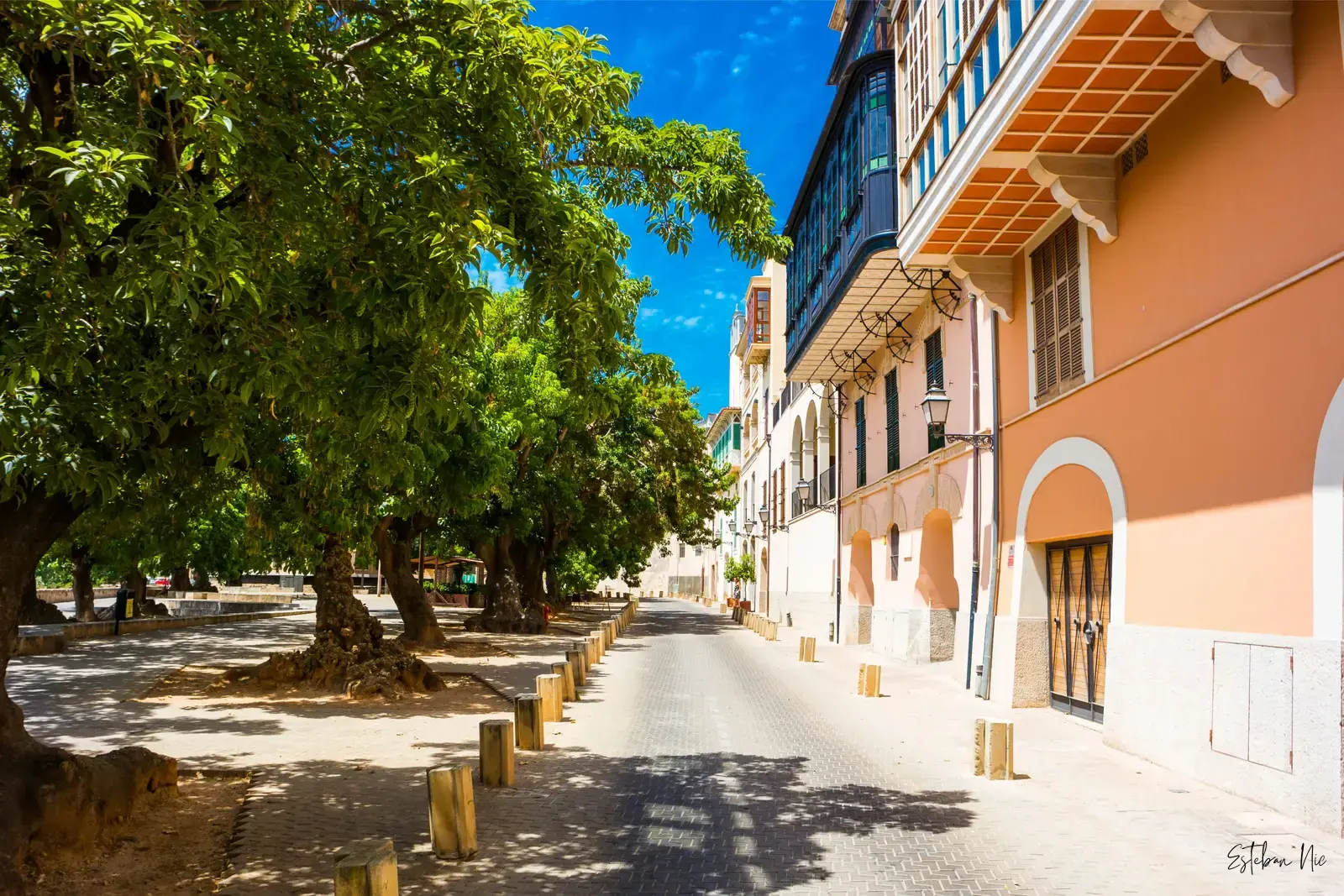 Der Reiseführer für Mallorquiner: Die 40 besten Restaurants auf Mallorca