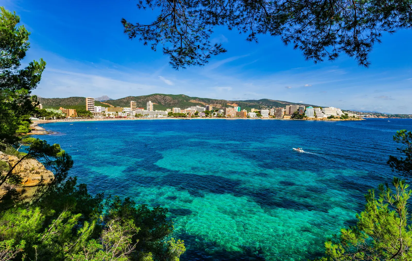 Playa de Magaluf: Ihr idealer Zufluchtsort im Sand in Magaluf