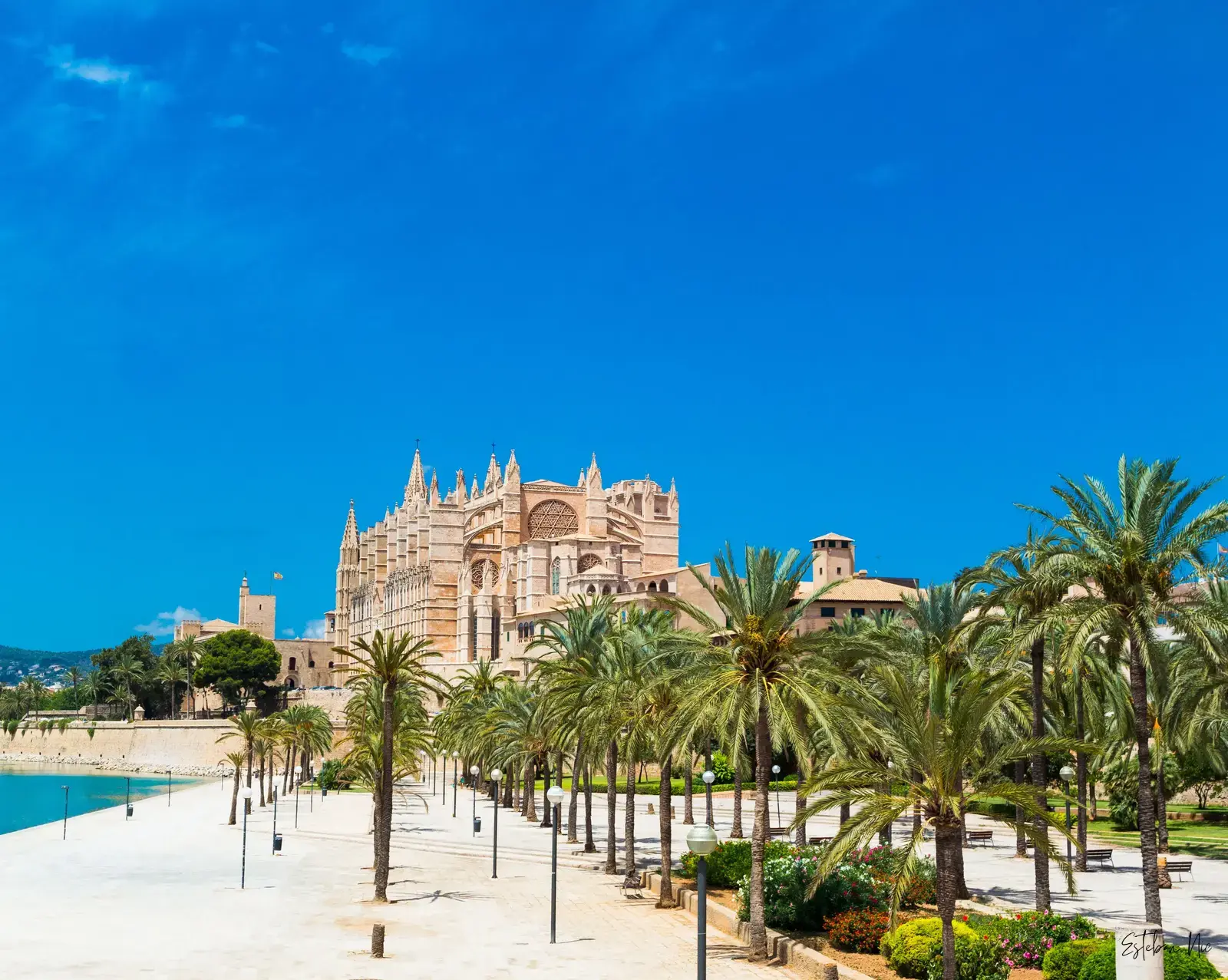 Pflanzlich betriebene Restaurants in Palma